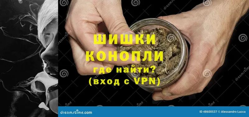 darknet какой сайт  Бодайбо  Каннабис индика 